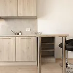 Modern Apartment With Great View